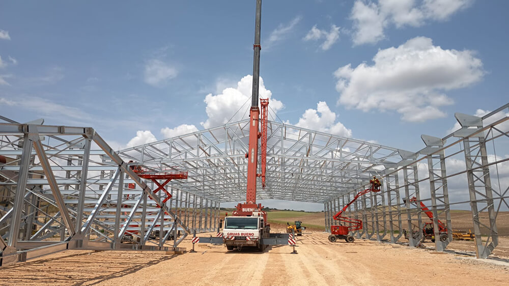 Poules pondeuses, Espagne