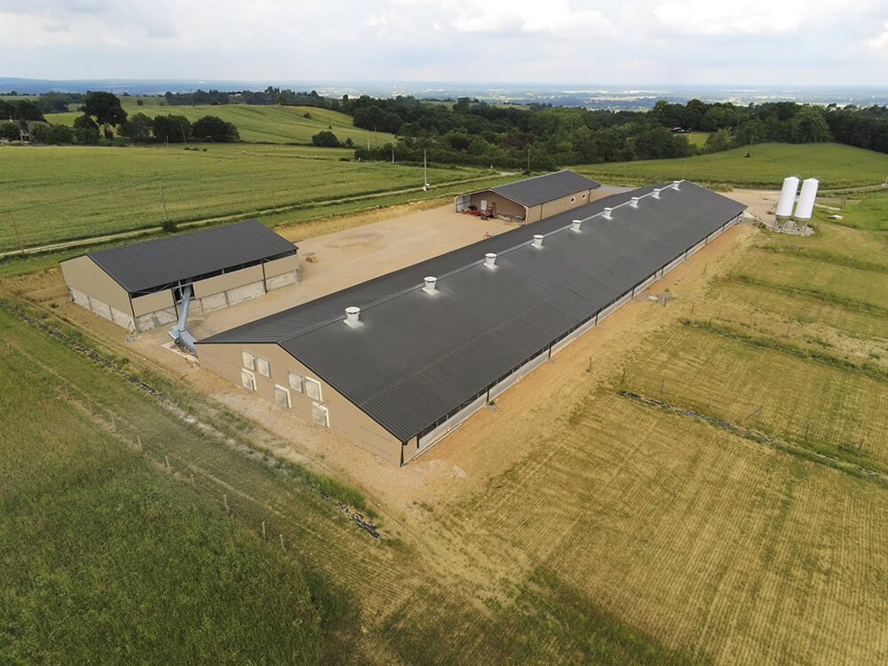 Pondeuses-plein-air3