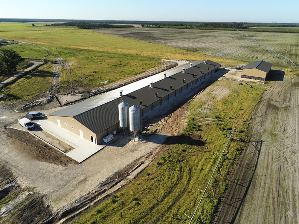 Pondeuses-plein-air4