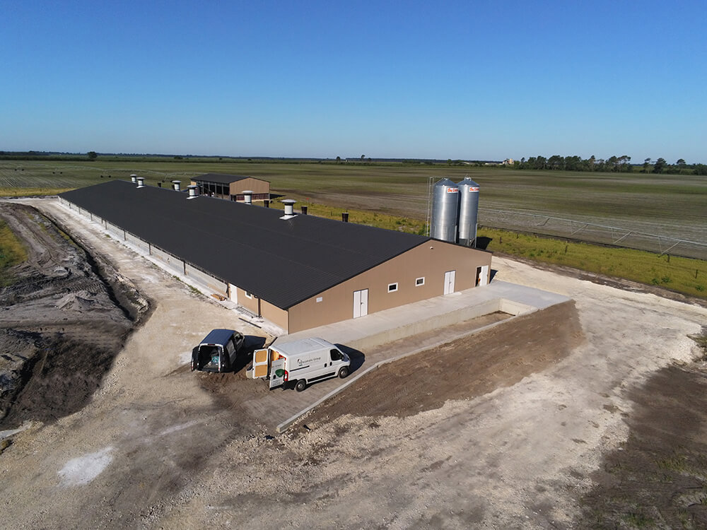 Pondeuses-plein-air5