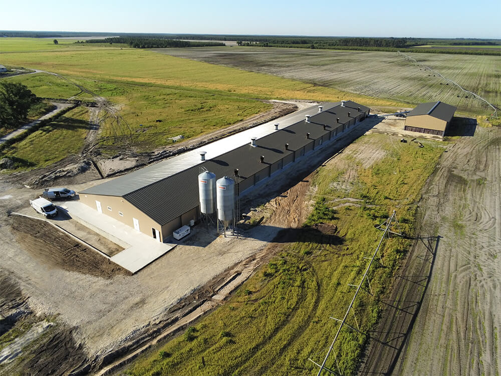 Pondeuses-plein-air6