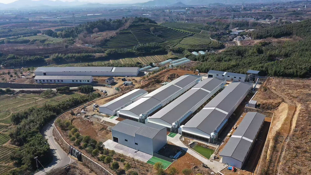 Reproducteurs  Couvoir