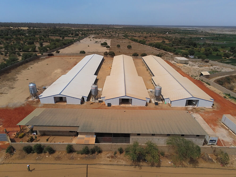 Chair-international3