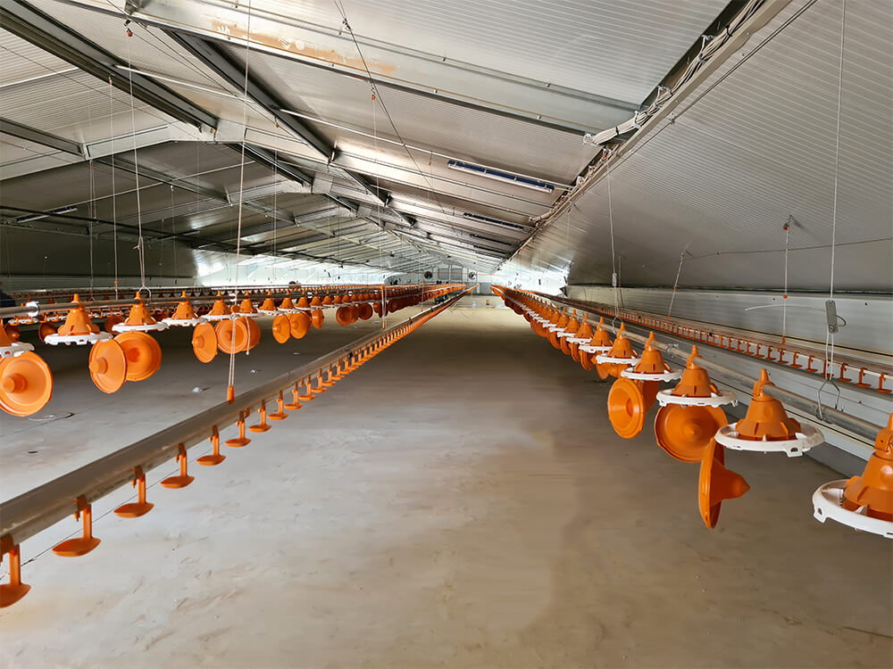 Chair-international4