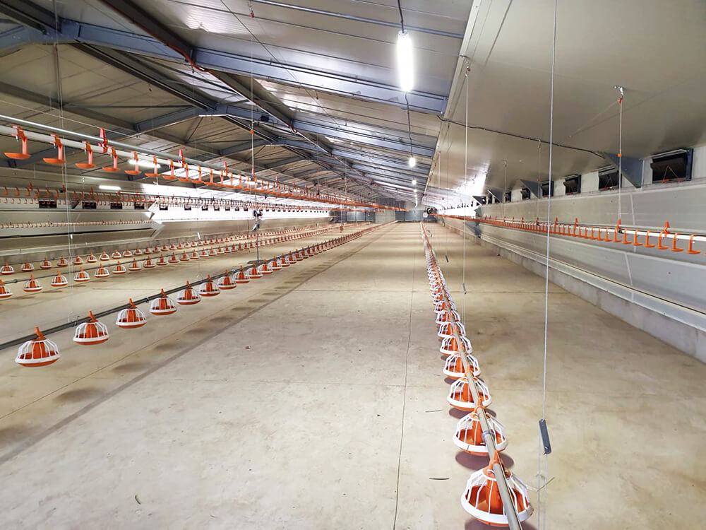 Chair-international6