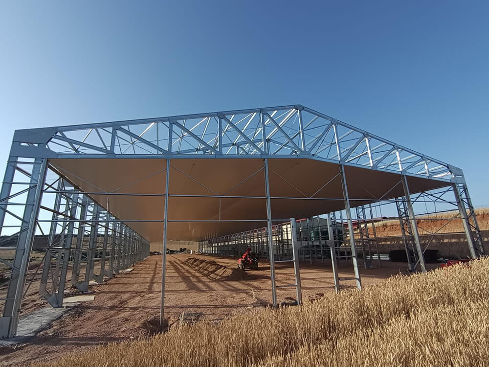 Pondeuses-international5