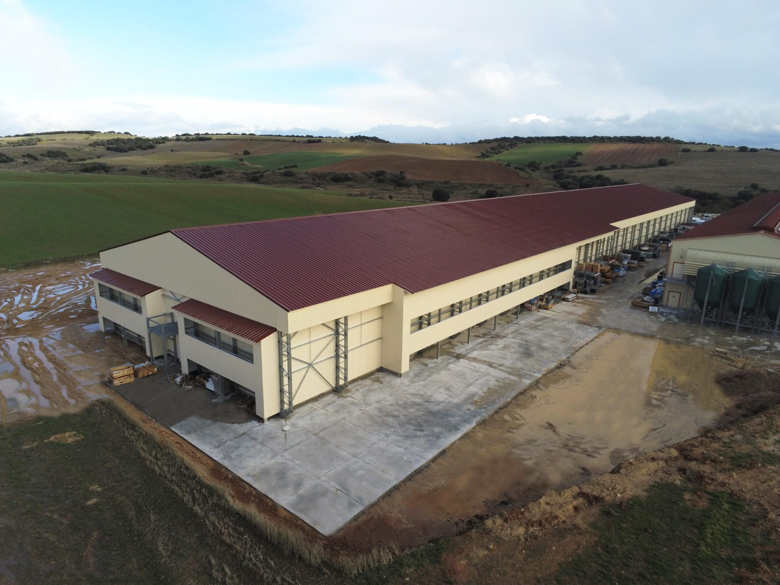 Pondeuses-international1