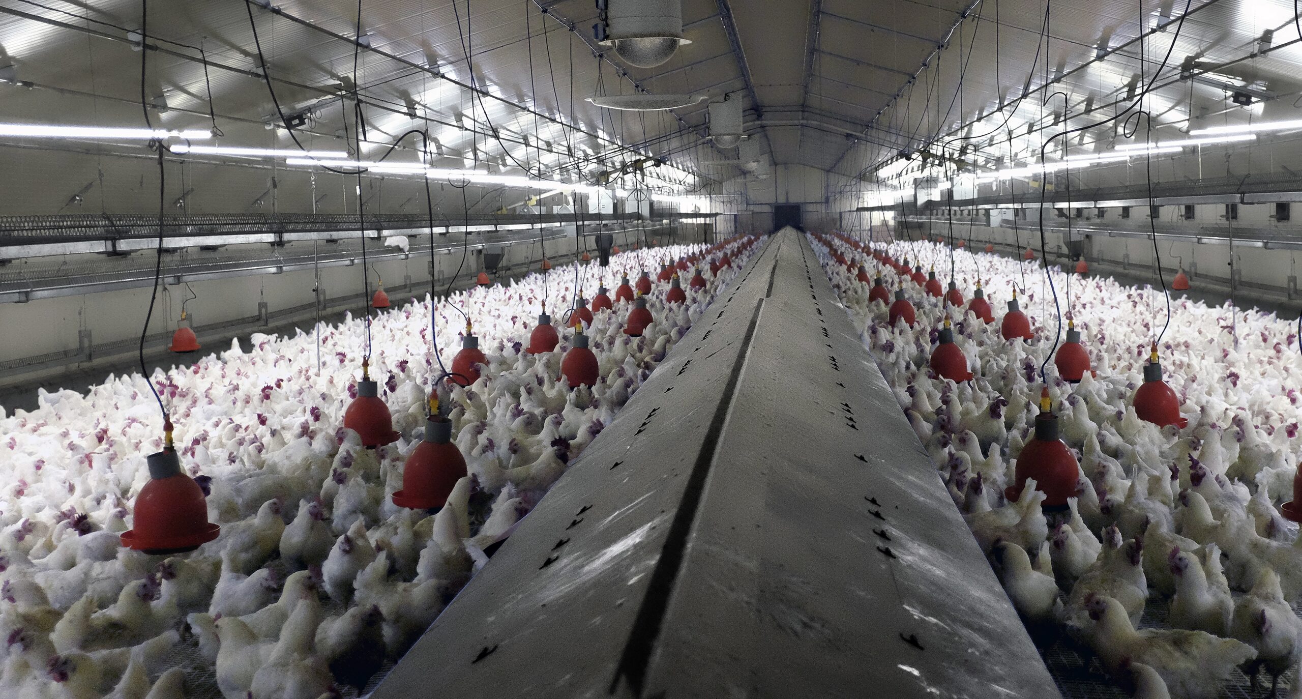 Repro Intérieur Usine-NTD-Mauvezin3